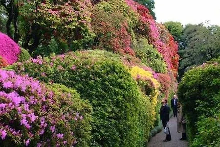 Casa Di Sofia E Oscar Di * Canzo